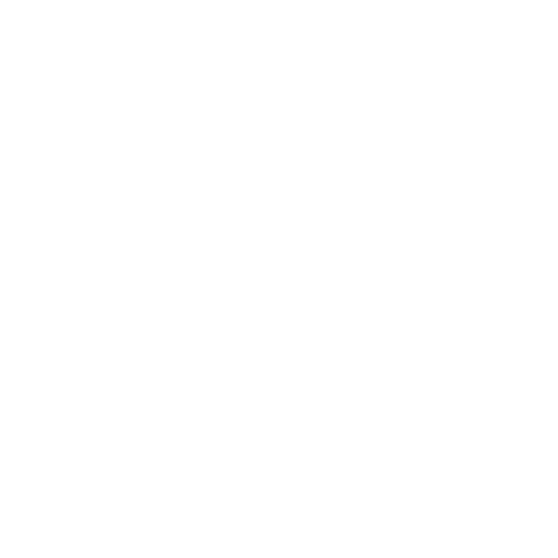 BorgBackup