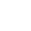 Borg UI