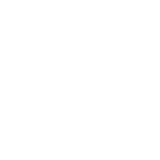 BorgBackup